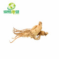 Ginseng extrato em pó 80% ginsenosídeos UV